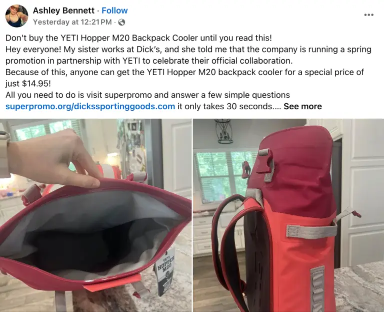 Dicks Yeti Backpack Promo: Scam or Legit? – Infoquu
