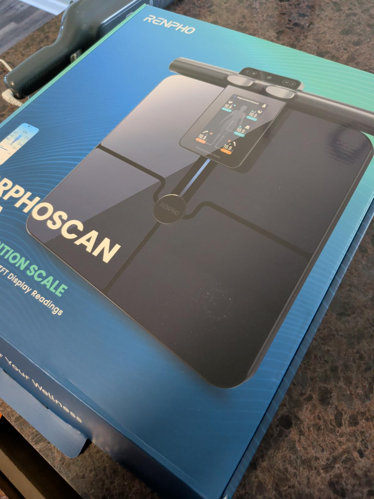 I Used the RENPHO Smart Scale — Here’s My Brutally Honest Review of it ...